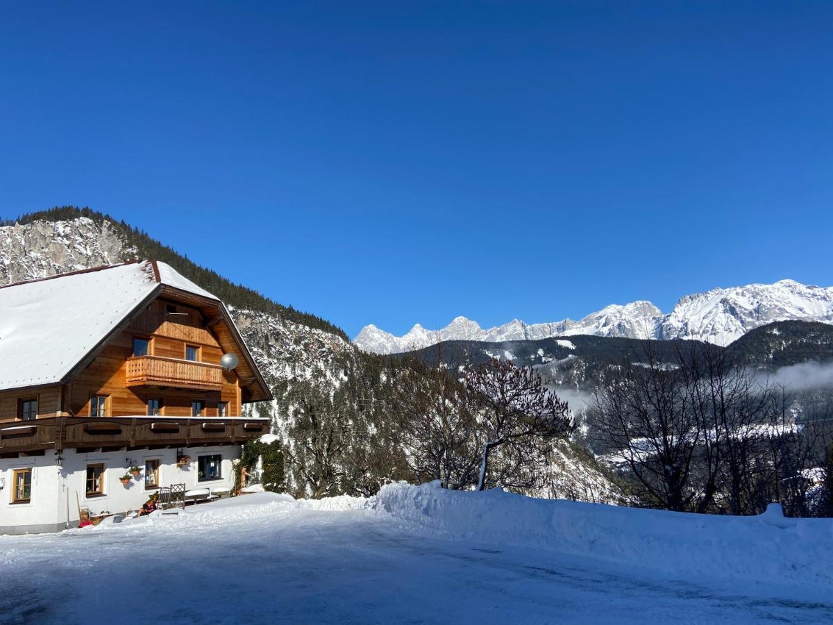 Bed and Breakfast Reiterhof Familie Laubichler Schladming Zewnętrze zdjęcie